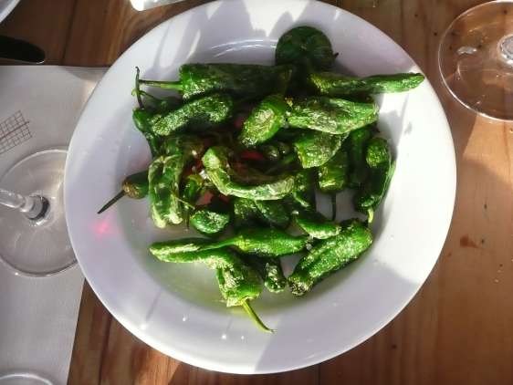 Pimiento de Padron