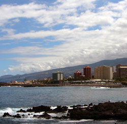 Bosco Teide