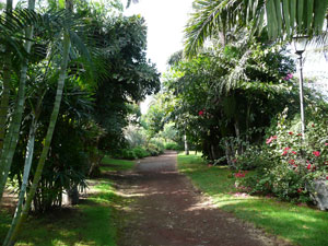 Playa Jardin