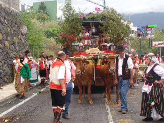 Romeria La Orotava