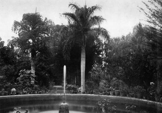 Plaza de Charco, Puerto de la Cruz